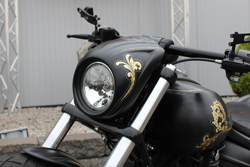 Universal fairing "BR" for HD models with OEM headlights